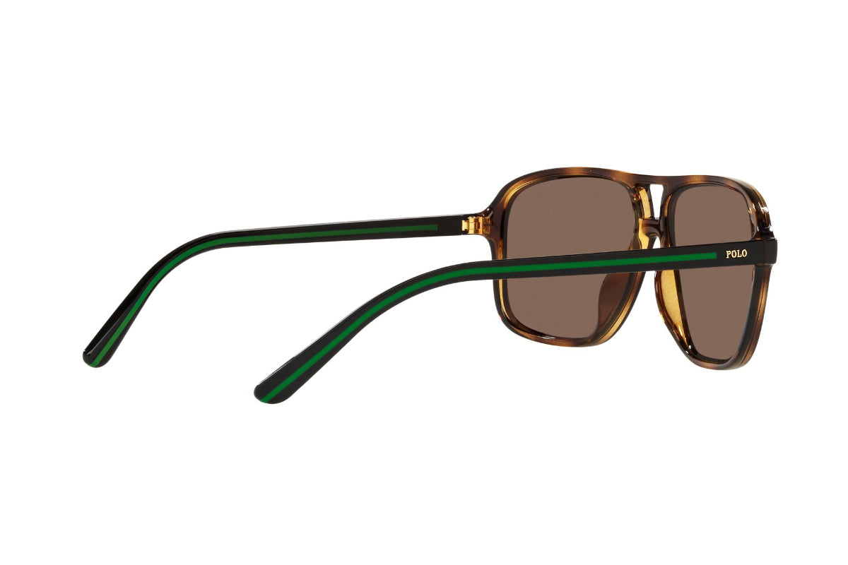 Lentes de Sol Shiny Havana Polo Ralph Lauren