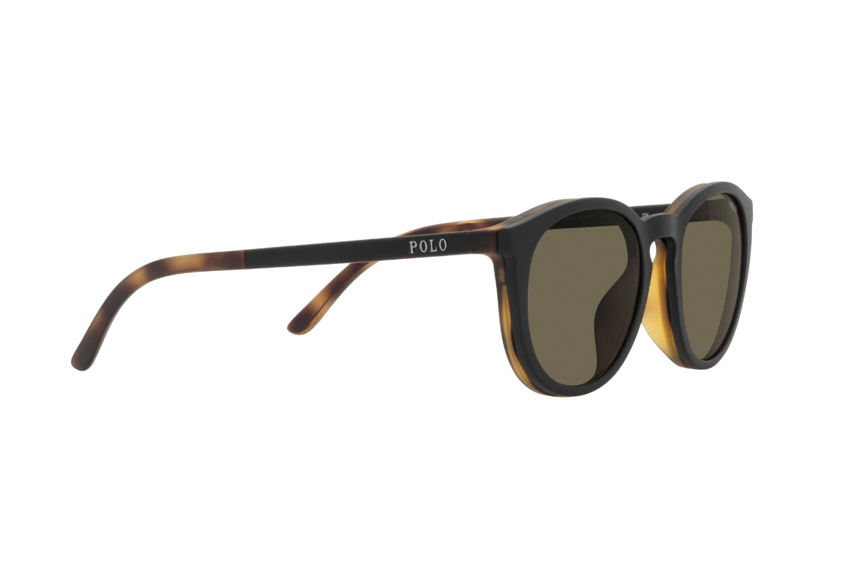 Polo Lentes de Sol PH4183U