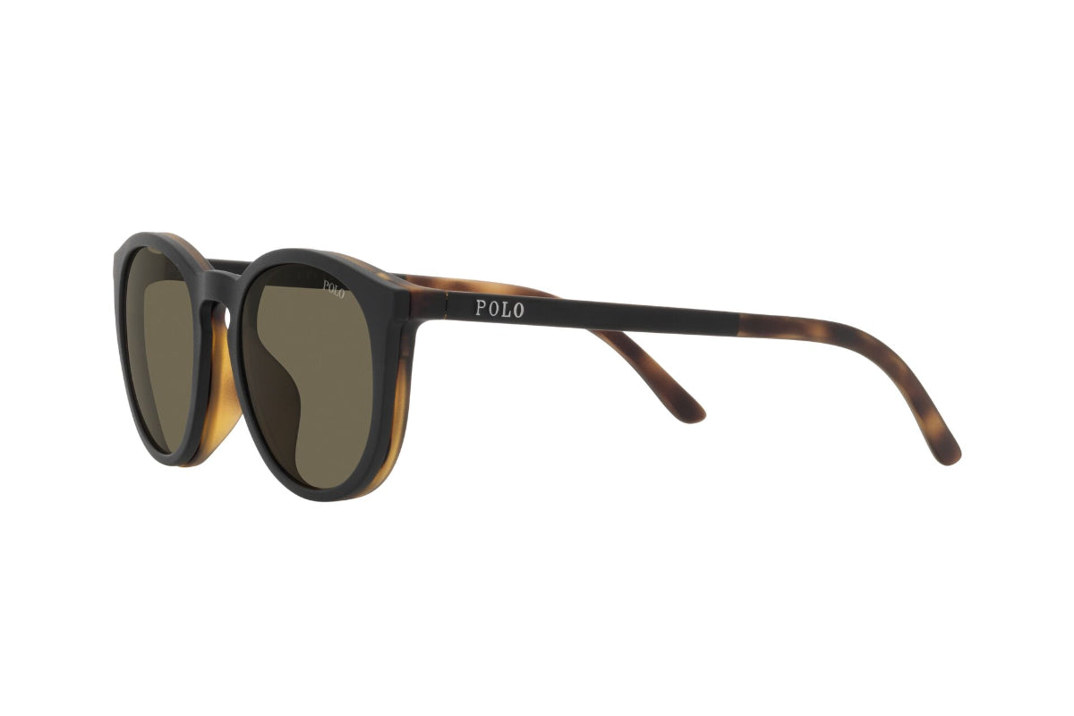 Polo Lentes de Sol PH4183U