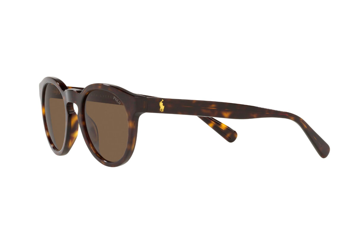 Polo Lentes de Sol PH4184