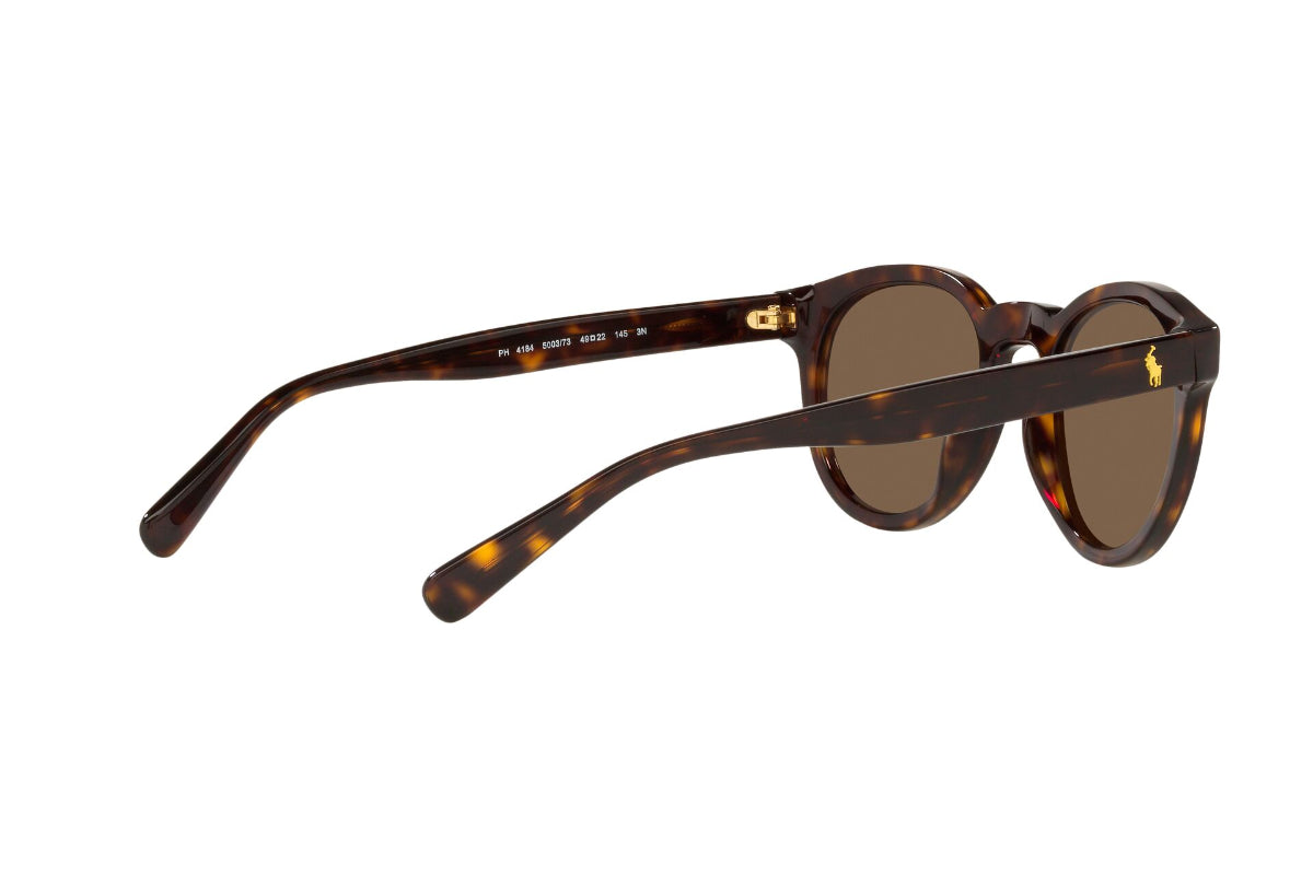 Polo Lentes de Sol PH4184