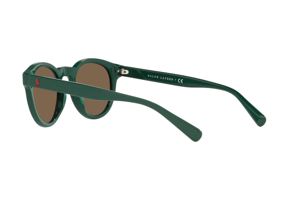 Polo Lentes de Sol PH4184