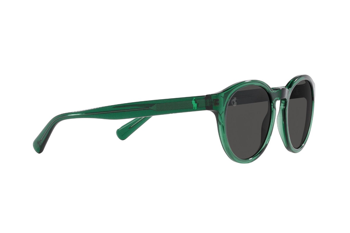 Polo Lentes de Sol PH4192