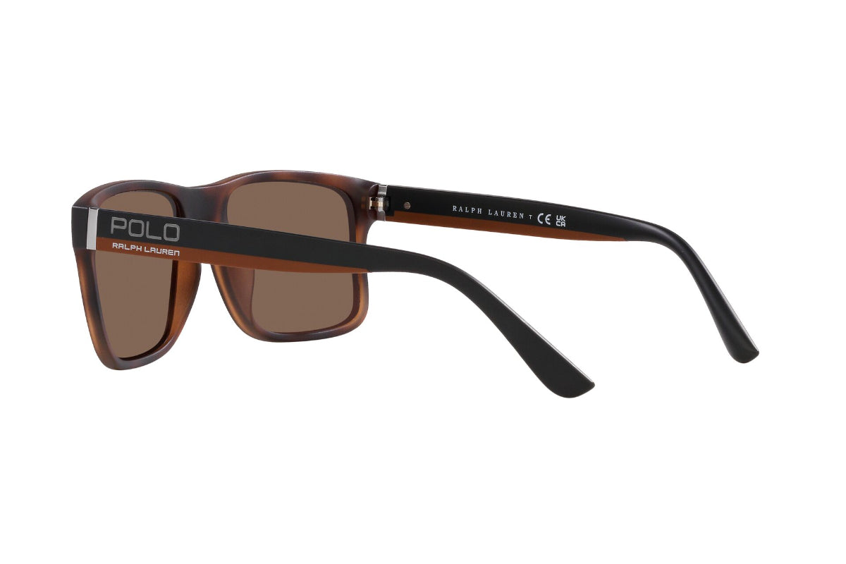 Polo Lentes de Sol PH4195U