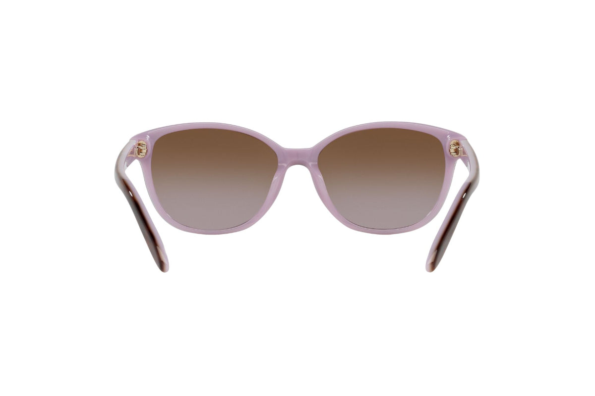 Lentes de Sol Shiny Tortoise On Violet  Ralph