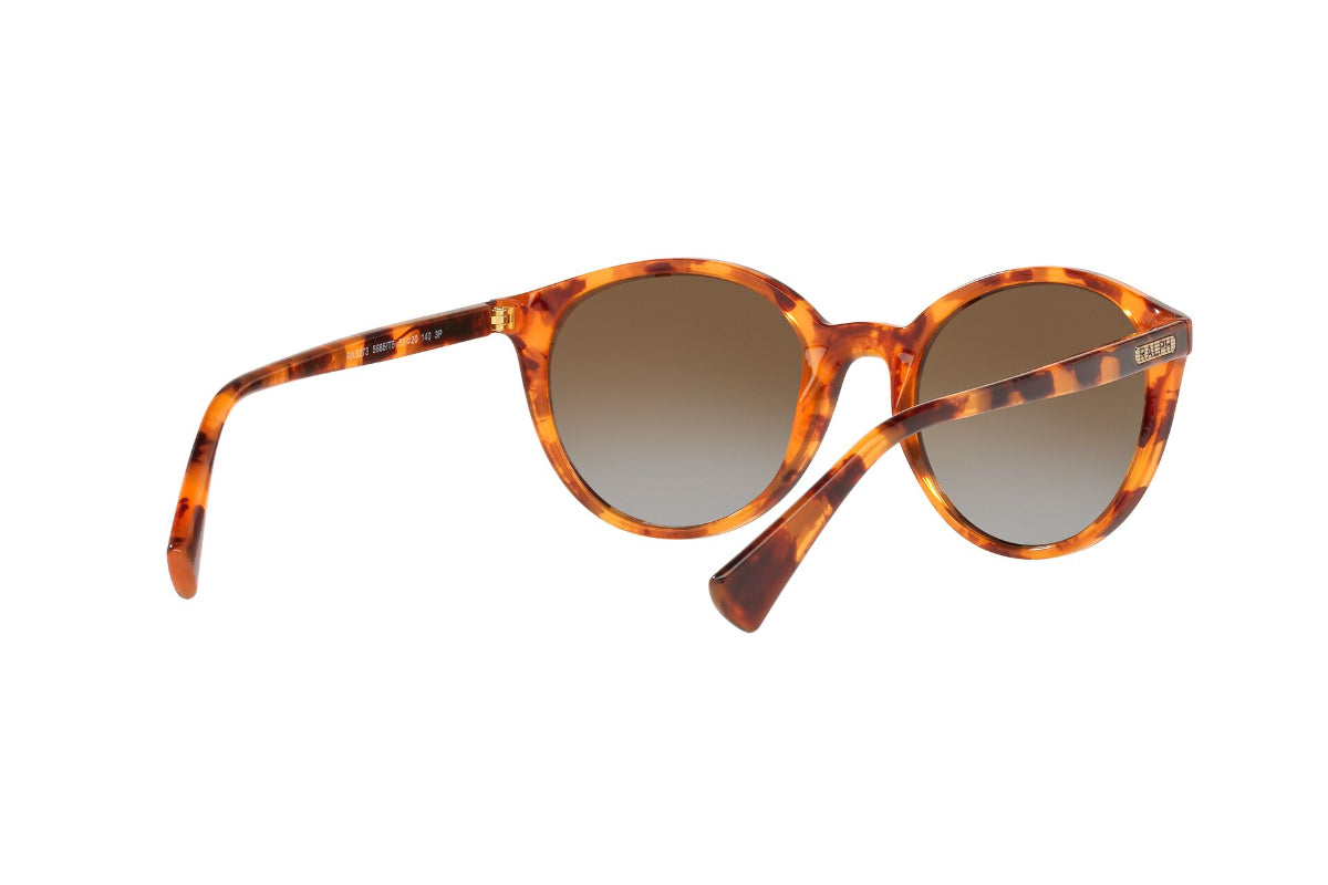 Lentes de Sol Shiny Havana Polarizados Ralph