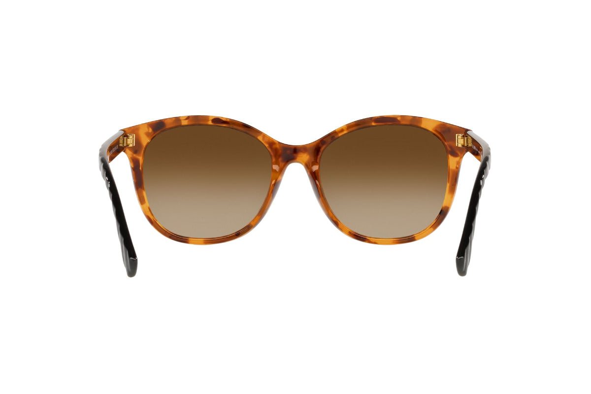 Lentes de Sol Shiny Sponged Havana  Ralph
