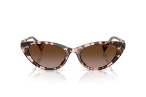 Ralph Lentes de Sol Degradados RA5352U