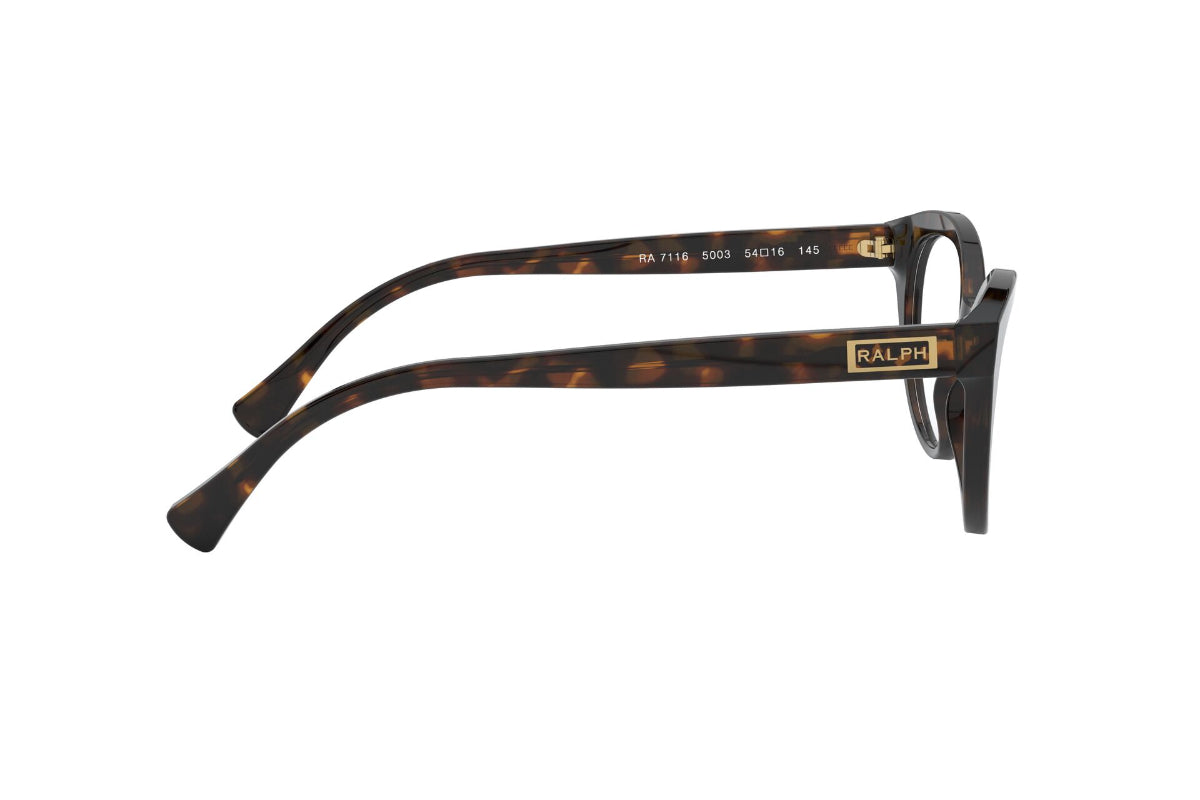 Lentes Ópticos Shiny Spotted Dark Havana Ralph