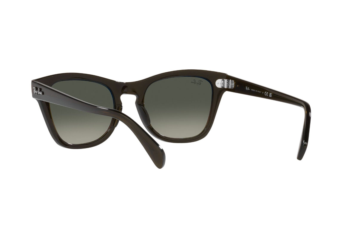 Ray-Ban Lentes de Sol RB0707S