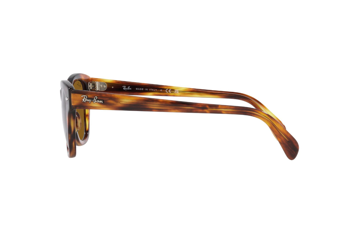 Ray-Ban Lentes de Sol RB0707S