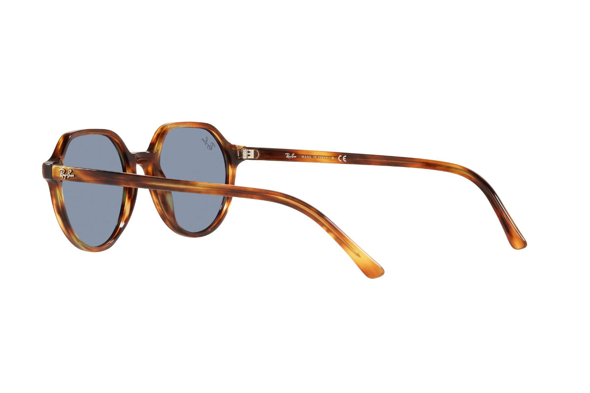 Lentes de Sol Thalia Striped Havana Ray Ban