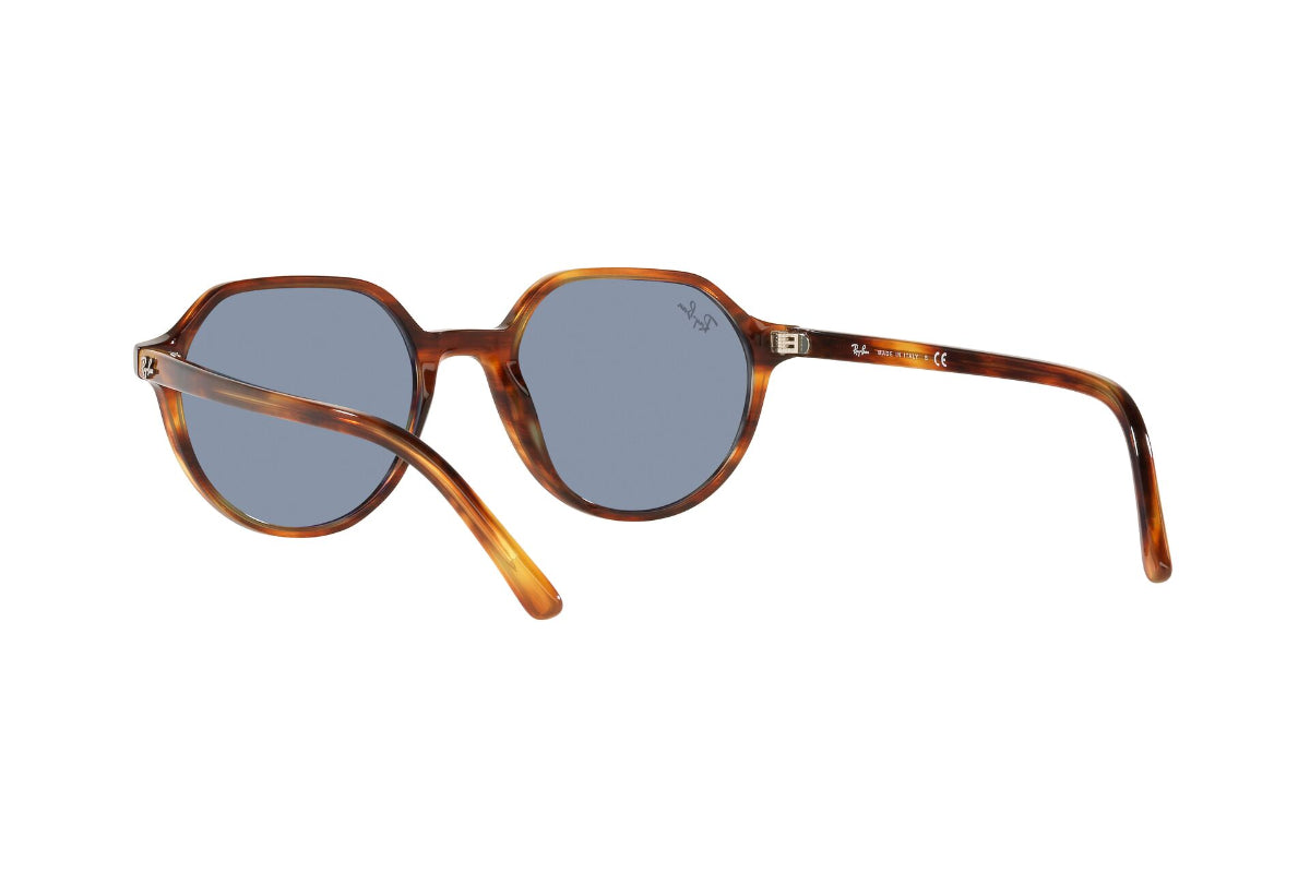 Lentes de Sol Thalia Striped Havana Ray Ban