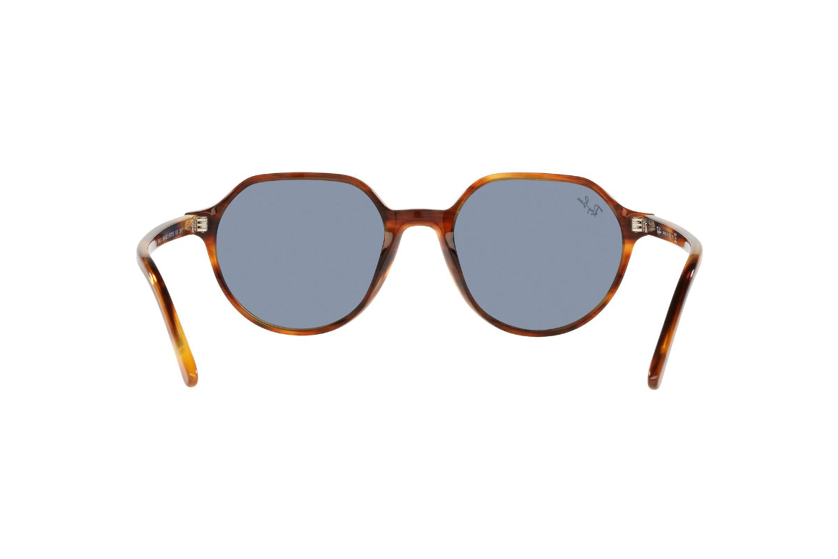 Lentes de Sol Thalia Striped Havana Ray Ban