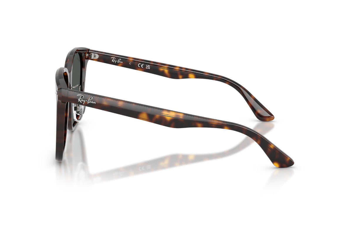 Ray-Ban Lentes de Sol RB2206D