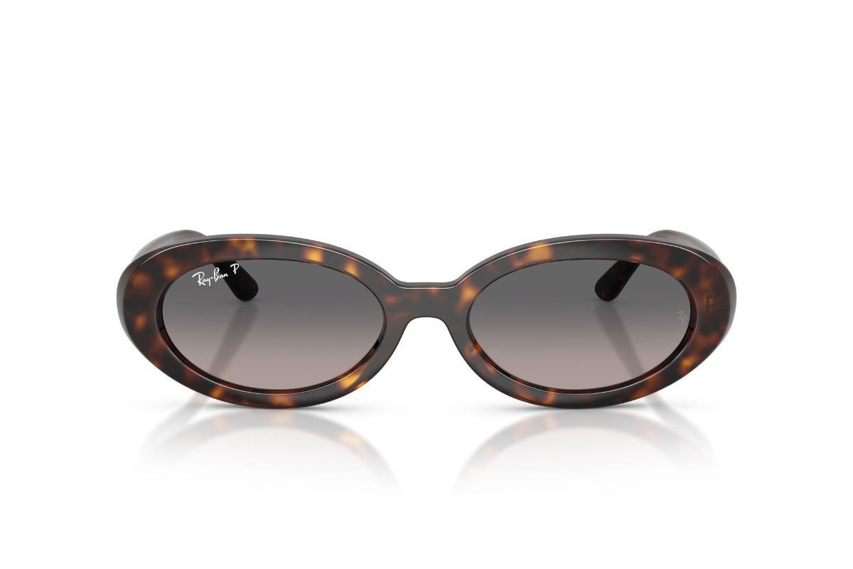 Ray-Ban Lentes de Sol The Bold Polarizados Degradados RB2223