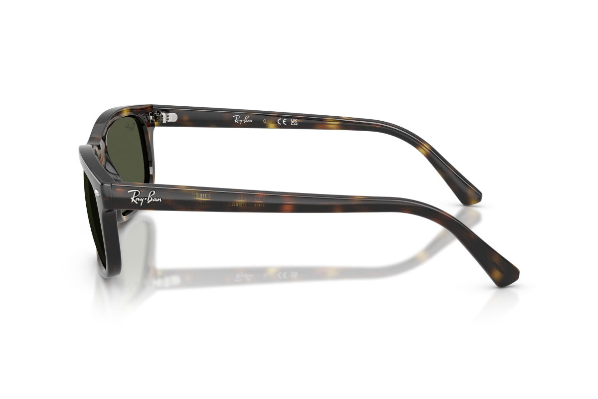 Ray-Ban Lentes de Sol RB2224