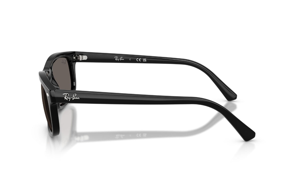 Ray-Ban Lentes de Sol RB2224