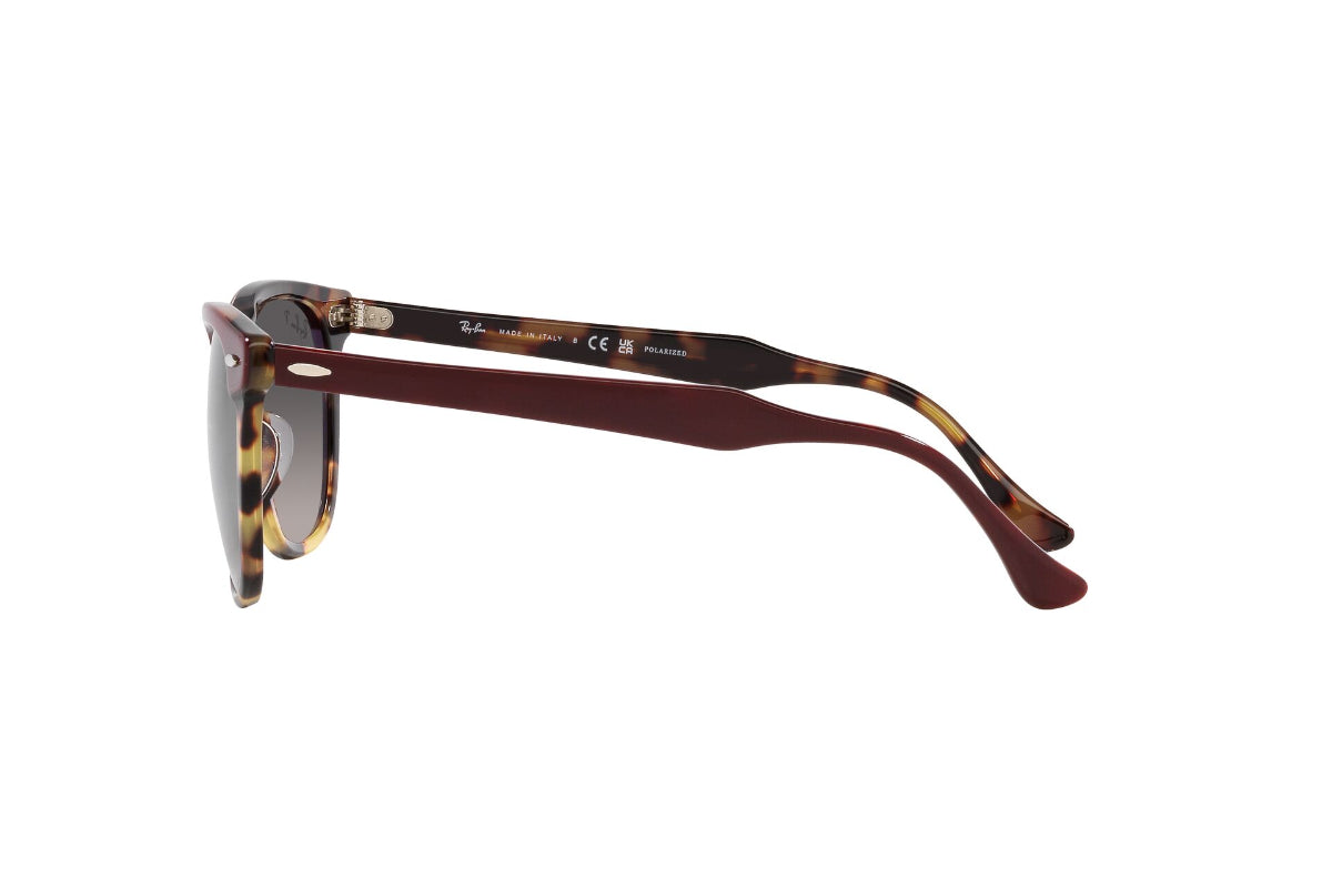 Ray-Ban Lentes de Sol Eagleeye Polarizados RB2398