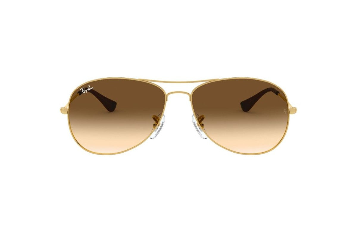 Ray-Ban Lentes de Sol Cockpit RB3362