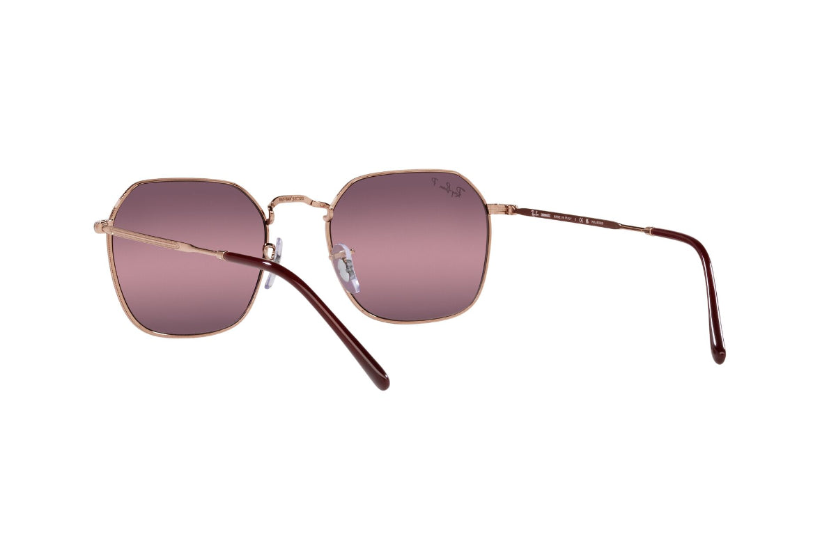 Ray-Ban Lentes de Sol Jim Polarizados RB3694