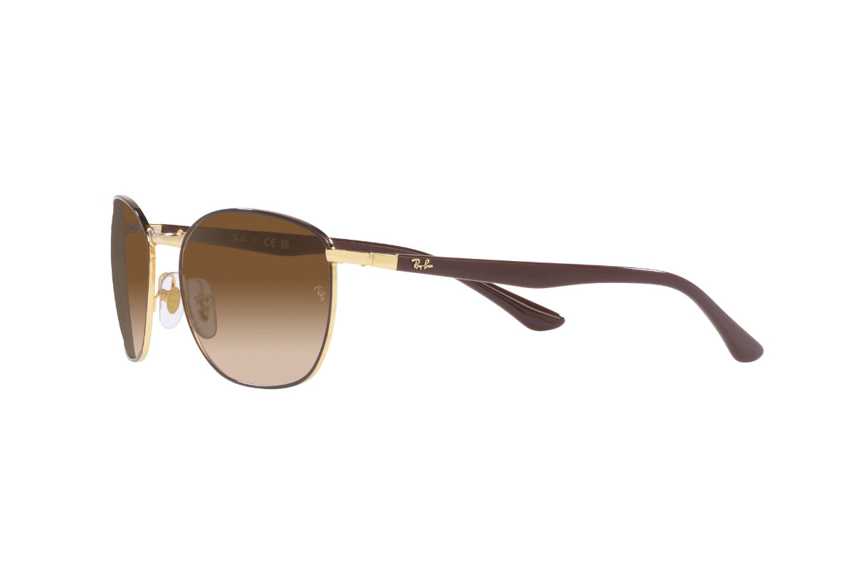 Ray-Ban Lentes de Sol RB3702