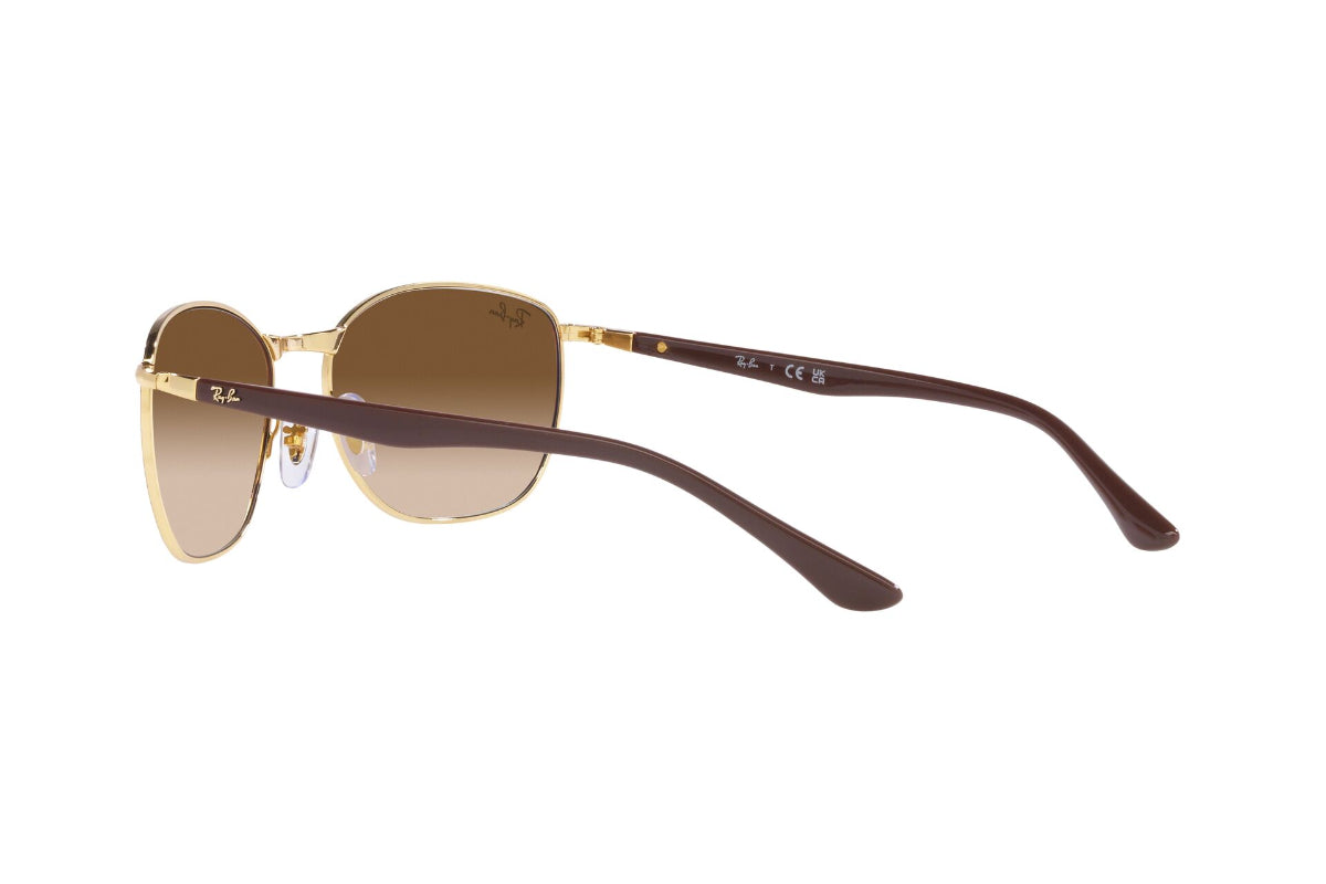 Ray-Ban Lentes de Sol RB3702
