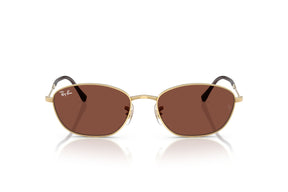 Ray-Ban Lentes de Sol RB3749