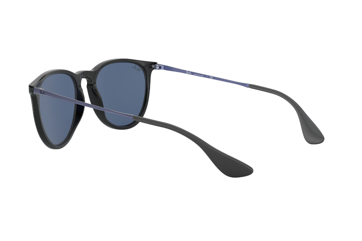 Lentes de Sol Erika Metallic Violet On Black Ray-Ban