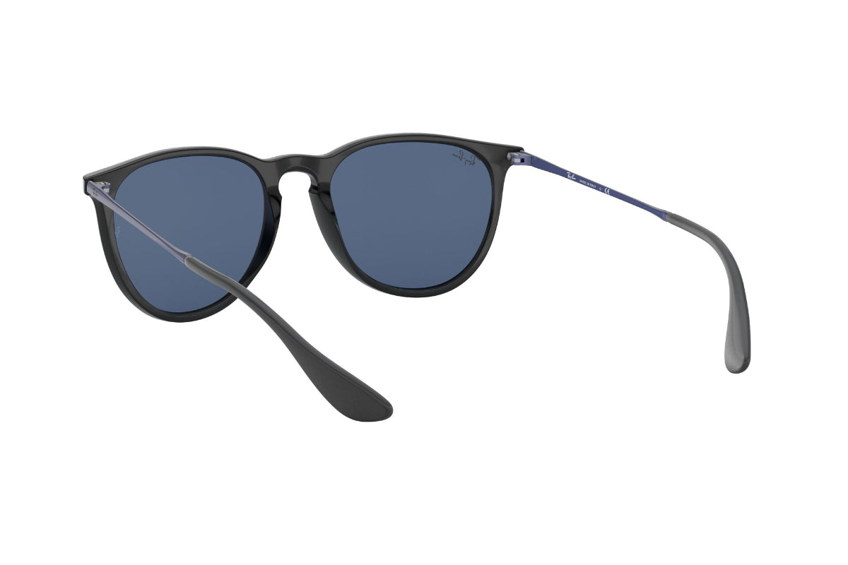 Lentes de Sol Erika Metallic Violet On Black Ray-Ban