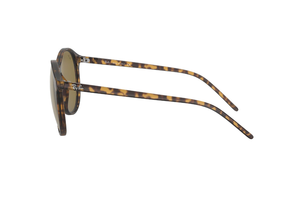 Lentes de Sol Tortoise Ray-Ban