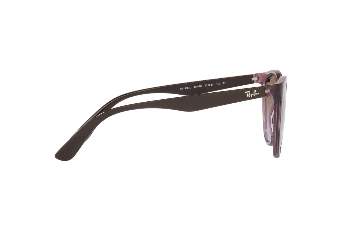 Ray-Ban Lentes de Sol RB4383L