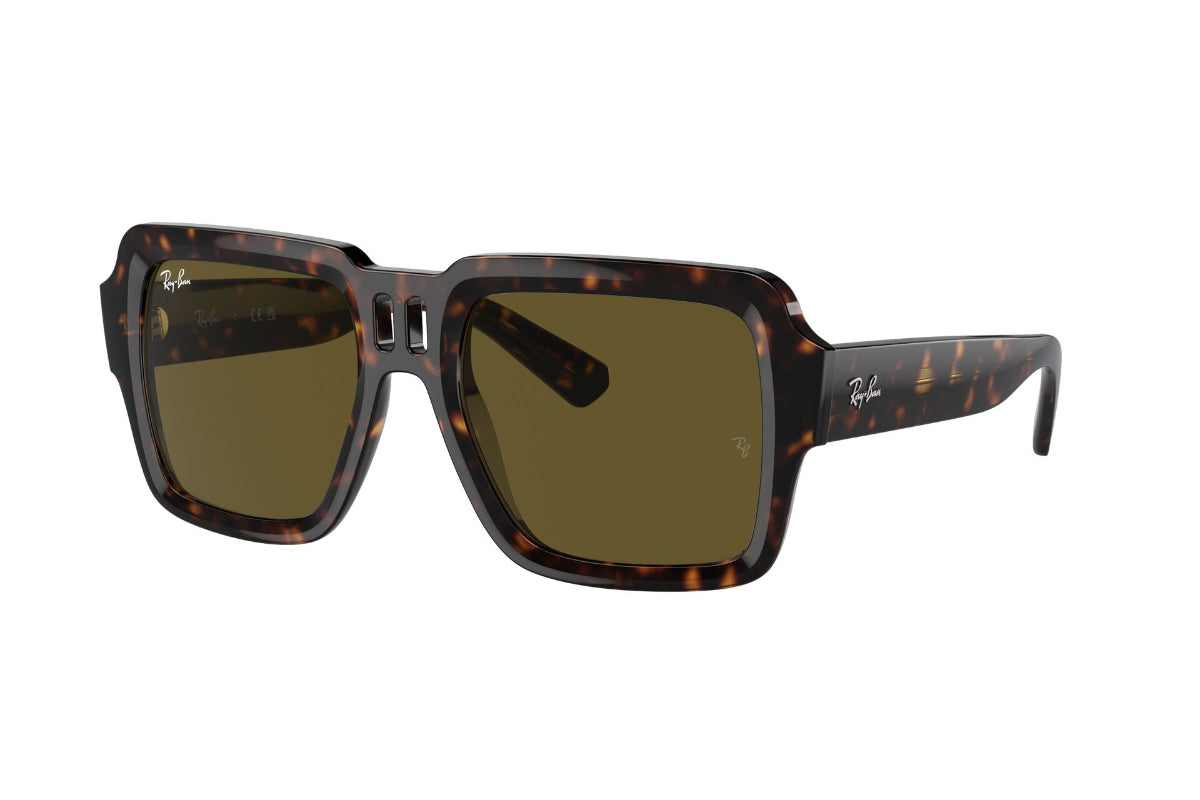 Ray-Ban Lentes de Sol Magellan RB4408
