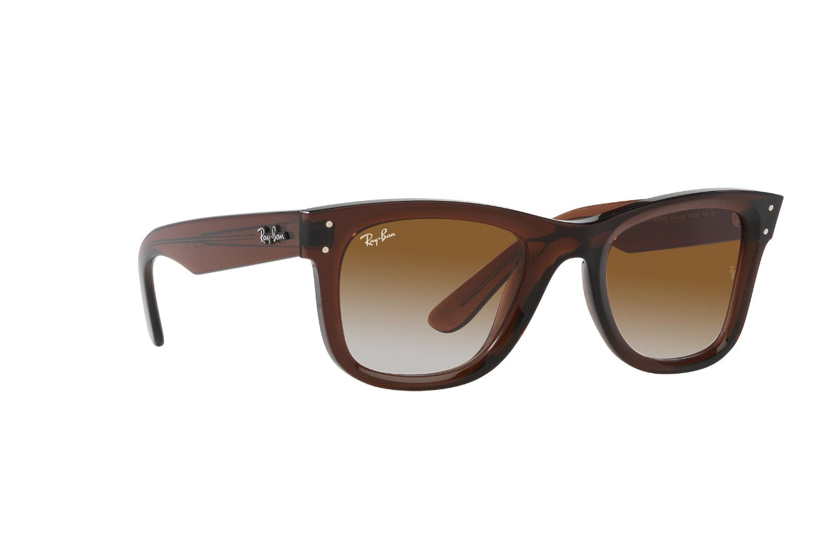 Ray-Ban Lentes de Sol Wayfarer Reverse RBR0502S