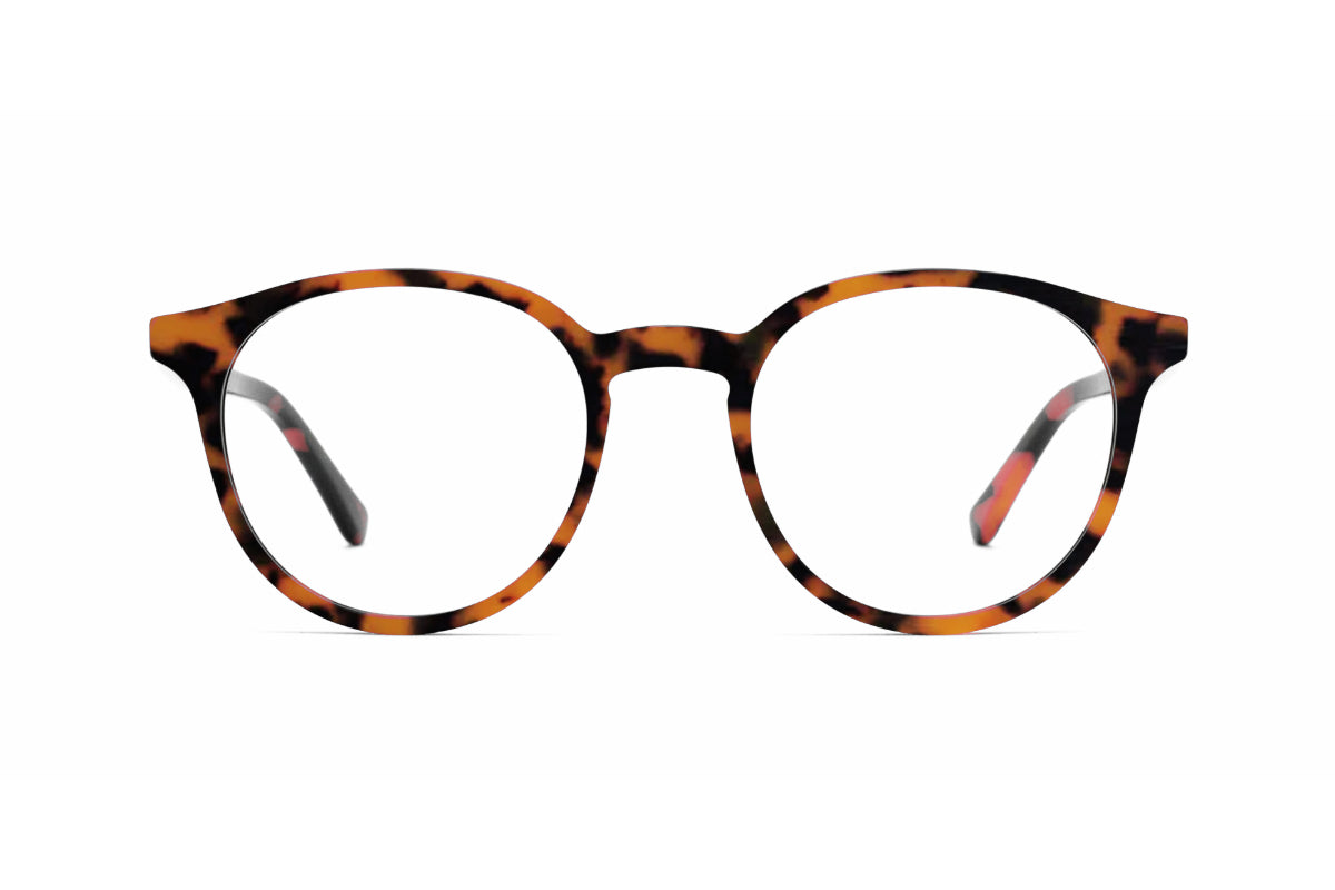 York Eyewear Tizziano